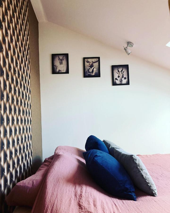 Le Carrosse, La Diligence, Centre Saint Jean De Losne Tarif 2Pers 1 Chambre, Tarif 4 Pers 2 Chambres Экстерьер фото